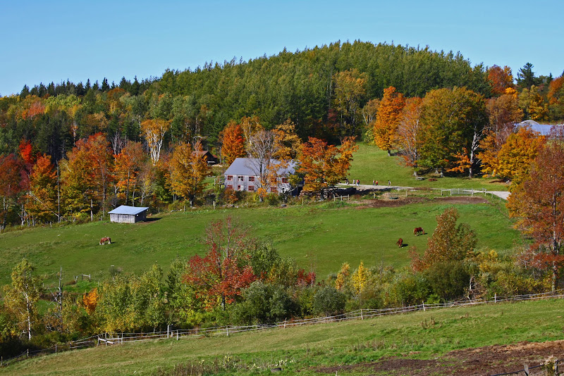 IMAGE: http://lh4.ggpht.com/_A_-CjJa0BhQ/SwYRx6z65MI/AAAAAAAAB0Y/jhiXoVKm89E/s800/IMG_0367-pse.jpg