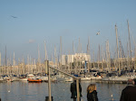 Boats @ Harbor