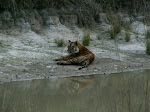 PICT1122.jpg