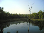 Kanha Lake.jpg