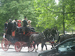 IMG_0300.JPG
