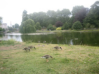 IMG_0379.JPG
