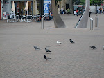 IMG_0484.JPG