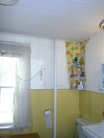 [0 BathroomBeforeSorta2[3].jpg]
