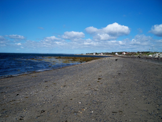 [BeachAtOceanHouseBlue[3].jpg]