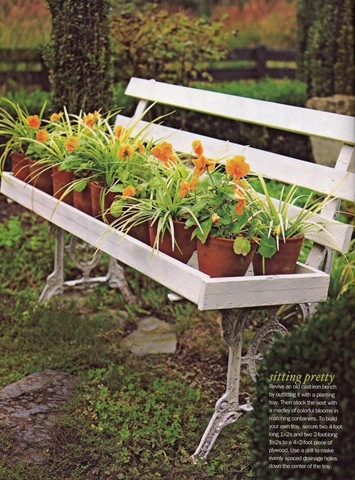 [orange1[1].jpg]