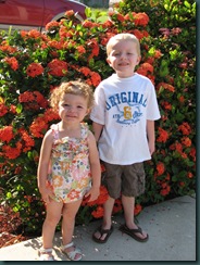 IMG_0575 IMG_0575