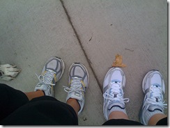 feet