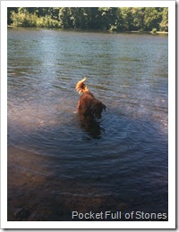 Pickin' Zeke