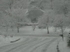 IMG_6193.JPG
