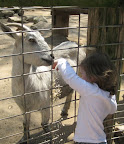 IMG_6765.JPG