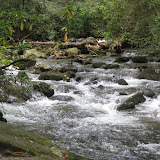 IMG_3325.JPG