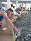 IMG_8713.JPG