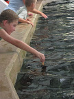 IMG_8704.JPG