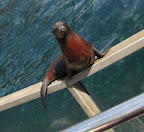 IMG_8840.JPG