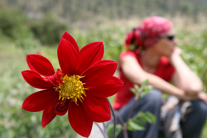 Ветер в кактусах: отчет о поездке Перу - Боливия