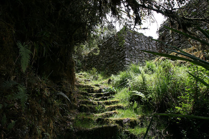 Ветер в кактусах: отчет о поездке Перу - Боливия