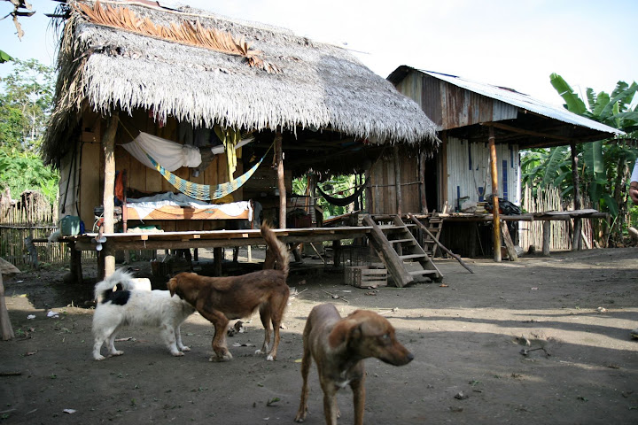 Ветер в кактусах: отчет о поездке Перу - Боливия