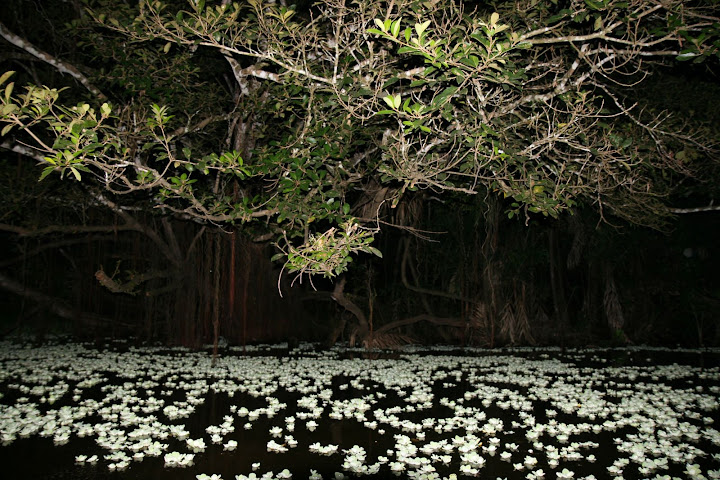 Ветер в кактусах: отчет о поездке Перу - Боливия
