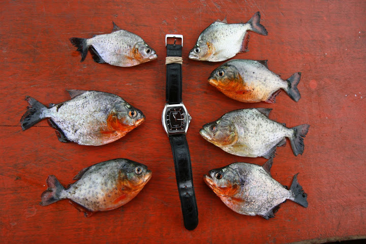 Ветер в кактусах: отчет о поездке Перу - Боливия