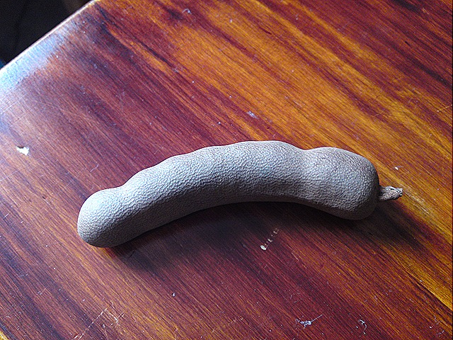 [DSC00843[1][8].jpg]