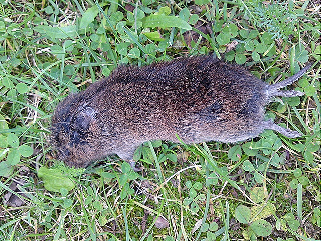 [DSC00880[1][5].jpg]