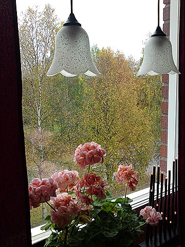 [DSC00945[1][5].jpg]