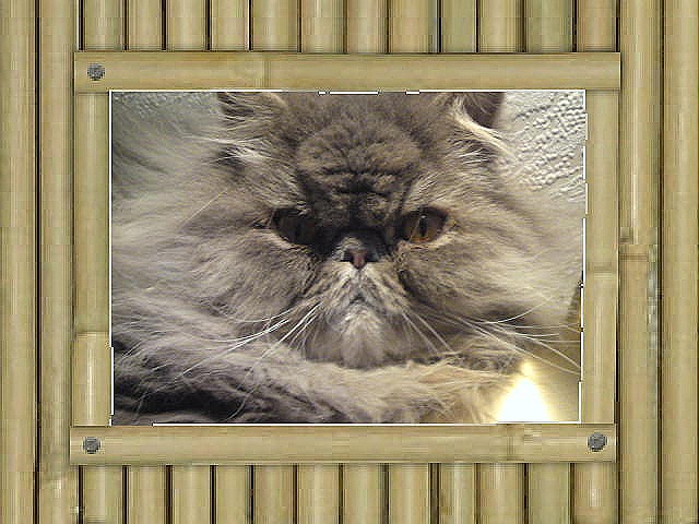 [DSC00968[1][4].jpg]