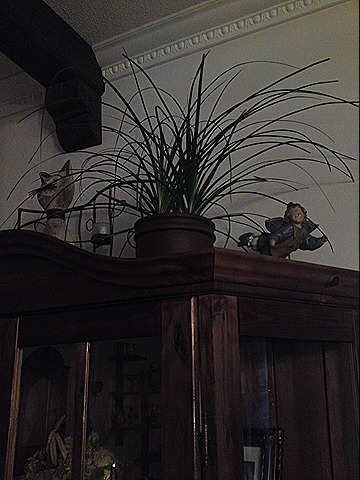 [DSC01032[1][12].jpg]