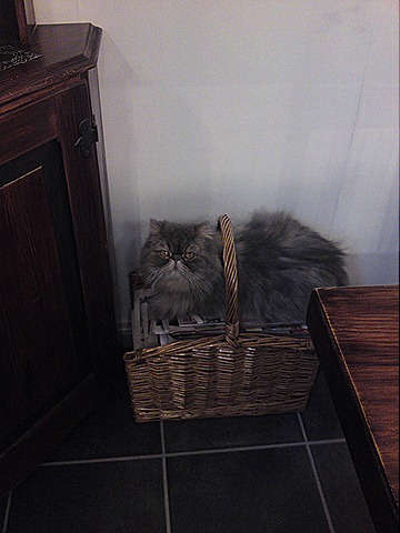 [DSC01093[1][11].jpg]