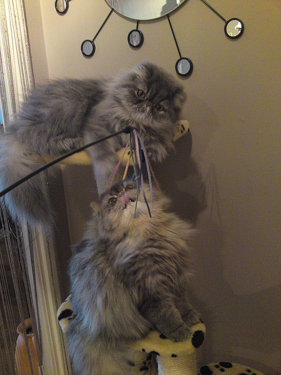 [DSC01115[1][10].jpg]