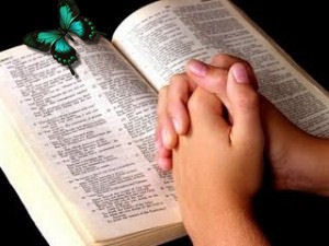 [bible5.jpg]