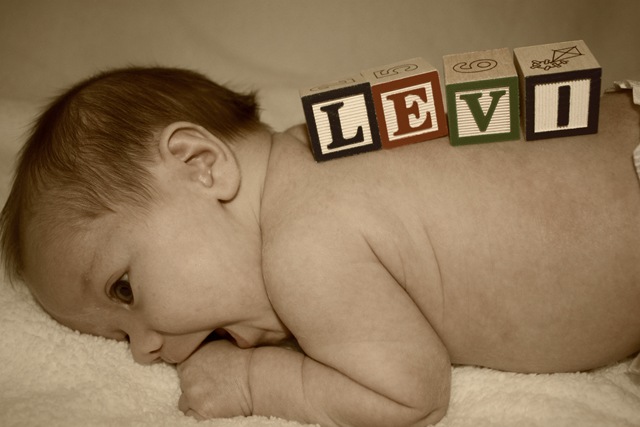 [levi4weeks1[2].jpg]