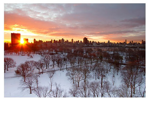 Sunrise over a snow-covered Central Park today (by @isardasorensen ) Sunrise over a snow-covered Central Park today.