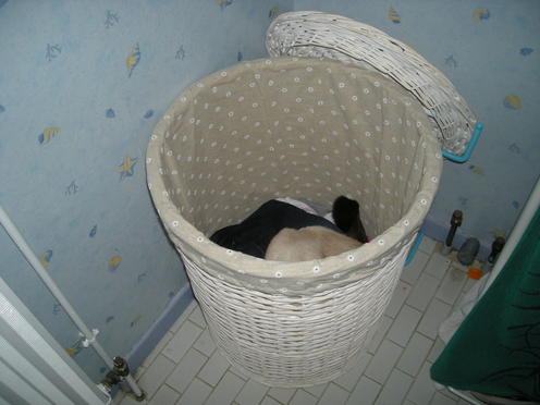 http://lh4.ggpht.com/_Af2NJS5Y8NA/S1I6bxKGlLI/AAAAAAAABrA/KFi0jorRZD8/DSCN2139.jpg