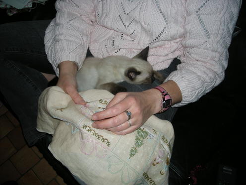 http://lh4.ggpht.com/_Af2NJS5Y8NA/S1I73xGy53I/AAAAAAAABzs/U0deHEmbhog/DSCN2238.jpg