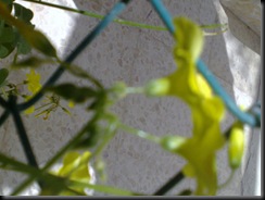 20090306808 (2)