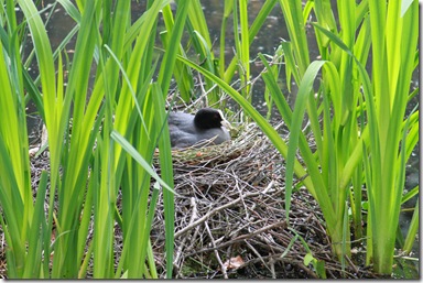 IMG_3110 IMG_3110