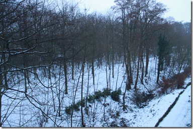 IMG_7498 IMG_7498