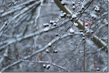 IMG_7314 IMG_7314