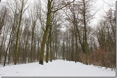 IMG_8060 IMG_8060