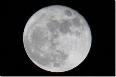 IMG_9534 IMG_9534