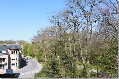IMG_1987 IMG_1987