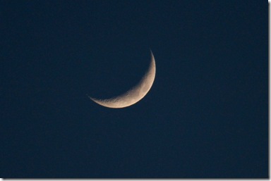 IMG_2217 IMG_2217