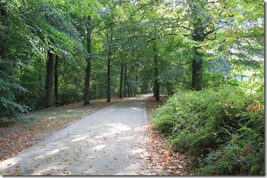 IMG_2814 IMG_2814