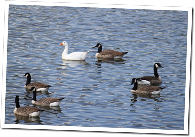 IMG_2910 IMG_2910