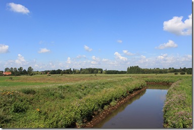 IMG_7139 IMG_7139
