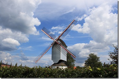 IMG_7234 IMG_7234