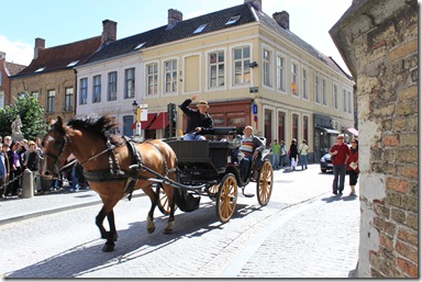 IMG_7856 IMG_7856