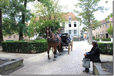 IMG_8020 IMG_8020